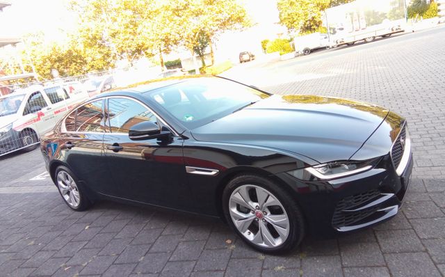 Jaguar XE P250 S Autom Leder neue Bremsen Scheckheft