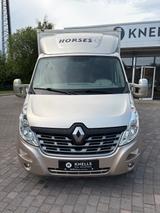 Renault Master Pferdetransporter Sodiak Automatik Leder - Angebote
