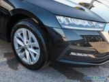 Skoda Octavia Combi 2.0 TDI Ambition DSG AHK LED Navi - Skoda Octavia Gebrauchtwagen in Kiel