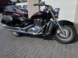 Suzuki VL800C Liebhaberfahrzeug in Top-Zustand - SUZUKI V 800