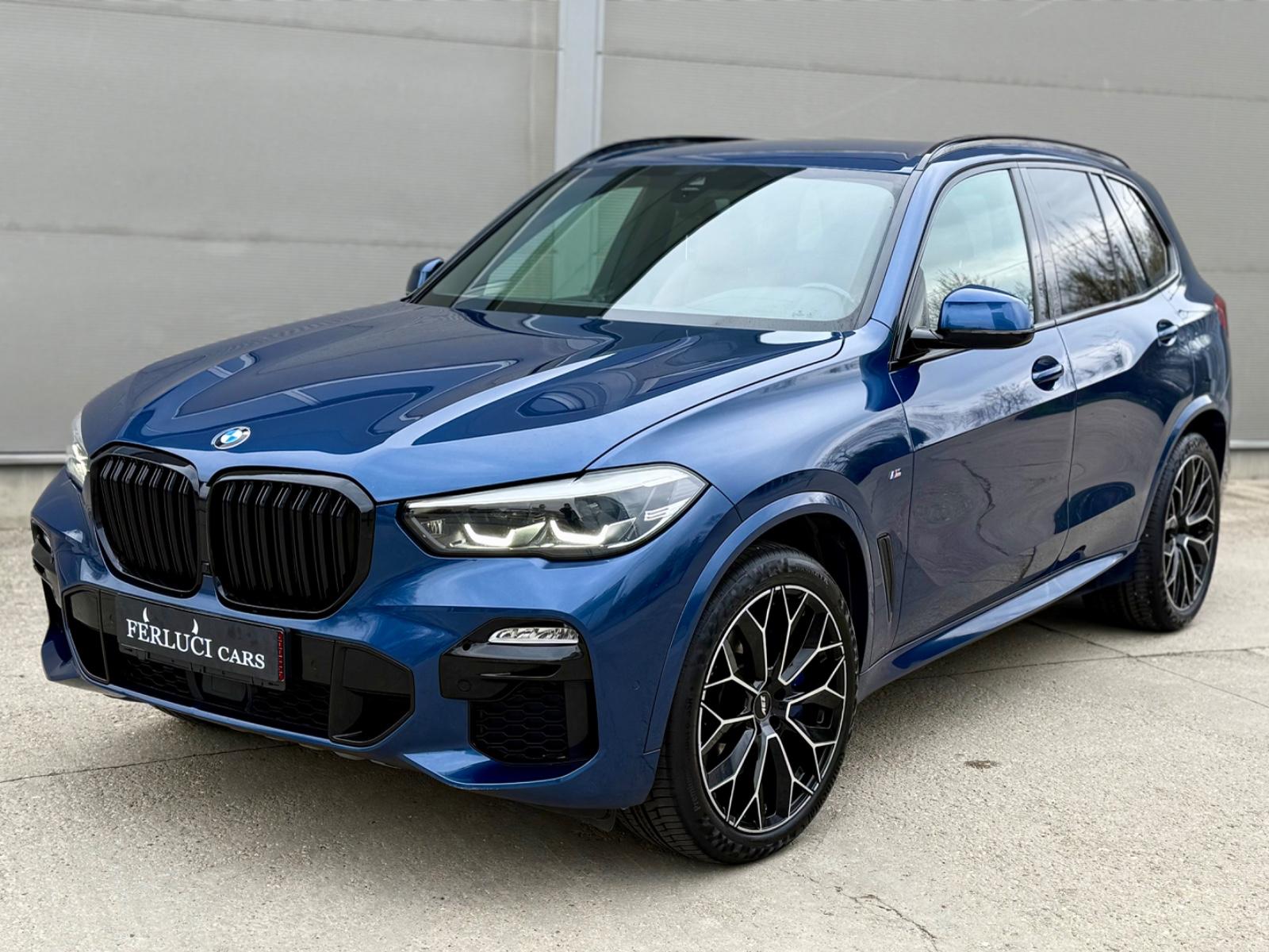 BMW X5 xDrive 30d M-Paket | AIR | OFFROAD