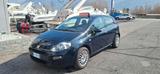 Fiat Punto 1.2 8V 5 porte Street - Fiat Punto: Street