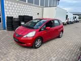 Honda Jazz 1.2 Trend - Honda Gebrauchtwagen in Ludwigshafen