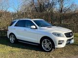 Mercedes-Benz Mercedes ML 350 CDI  AMG-Line - : Mercedes Ml