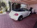 Volkswagen Beetle CUP Cabrio 2.0 TDI 150 PS, jährl. KD - Volkswagen Beetle: TDI