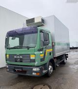 MAN TGL 12.240 4x2 BL Rohrbahnen MEAT Thermo King - MAN 12 240