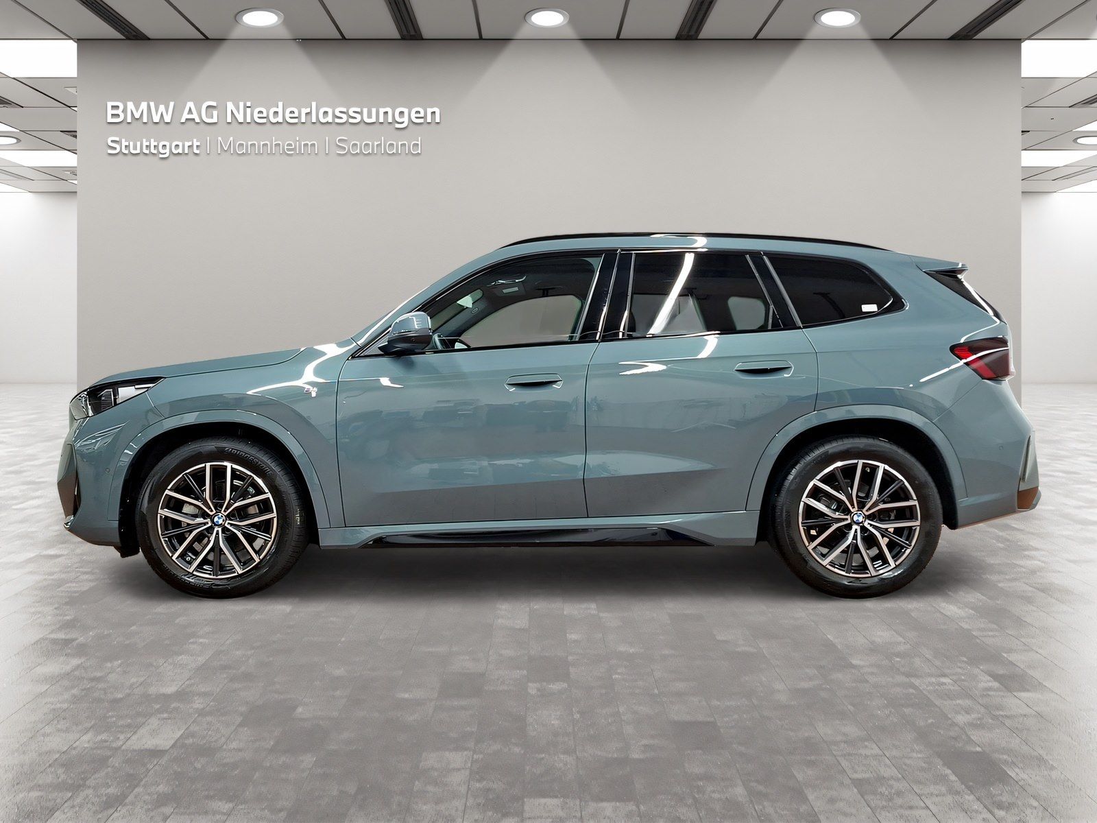 BMW X1 xDrive20d M Sport AHK Driv.Assist Harman K foto 3