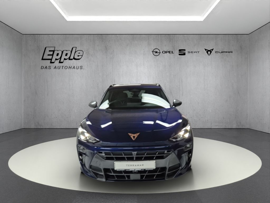 Image of Cupra Terramar