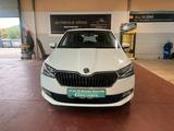Skoda Fabia Cool Plus *48 TKM* - Skoda Fabia Gebrauchtwagen in Duisburg