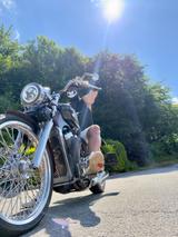 Suzuki Intruder vs 800 - SUZUKI 1994 INTRUDER 800