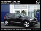 Volvo XC40 T3 Geartronic Momentum - Volvo XC40: Panorama-Dach