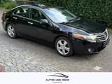 Honda Accord Lim. Executive Klima Xenon Leder - Honda Accord: Ex