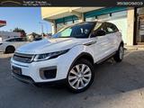 Land Rover Range Rover Evoque SE Dynamic eD4 #88 - Land Rover: 88