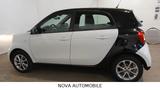 Smart ForFour forfour Basis 66 kW - gebrauchte Smart ForFour aus dem Jahr 2017