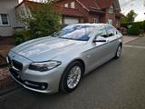 BMW 2015 BMW F10 530D luxury - BMW 530: 530d F10