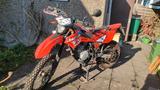 Beta RR 125 LC - BETA R 125