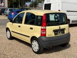 Fiat Panda 1.1 8V Active - Fiat Panda Gebrauchtwagen in Mönchengladbach