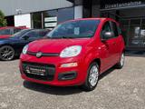 Fiat Panda Pandina 1.0 firefly Hybrid Pop - Fiat Panda Gebrauchtwagen in Dortmund