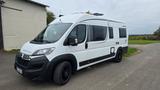 Pössl Roadcruiser, 1. Hand, Viele Extras, Scheckheftge - Offers