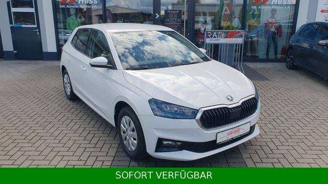 Skoda Fabia 1.0 Selection *TEMPO*SHZ*VirtualCo*PDC