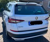 Skoda Kodiaq 2.0 TSI DSG 4x4 SCOUT 7-Sitze - Skoda Kodiaq: Scout