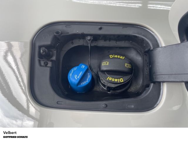 Volkswagen T-Roc - Bild 19