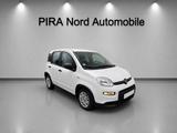 Fiat Panda Base Mild Hybrid*1.Hand*Herstellergarantie - Fiat Panda aus 2025