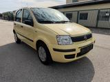 Fiat Panda 1.2 8V Dynamic TÜV&Service Neu - Fiat Panda Gebrauchtwagen in Hamburg