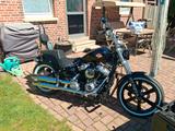 Harley-Davidson Softail Standard 107 - HARLEY-DAVIDSON SOFTAIL STANDARD