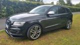 Audi SQ5 3.0 TDI compe. tiptro. quatt. Motor 50.000km - Audi SQ5 von privat