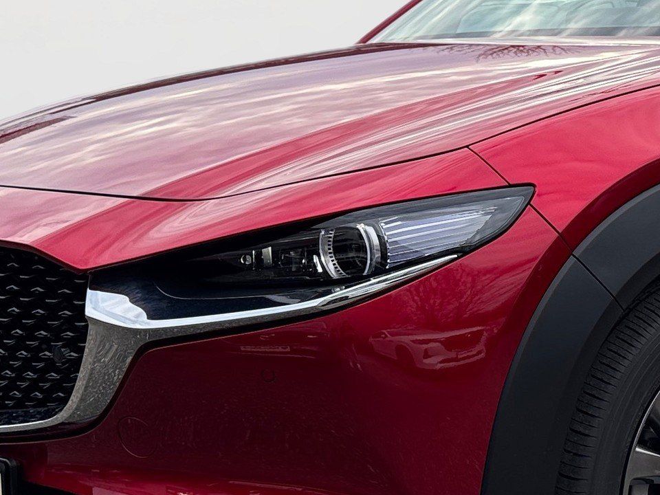 Fahrzeugabbildung Mazda CX-30 X 2.0i 186PS A/T Takumi SUNR BLOP