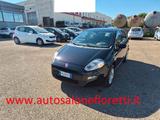 Fiat Punto 1.2 8V 5 porte Street GPL - gebrauchte Fiat Punto aus dem Jahr 2018
