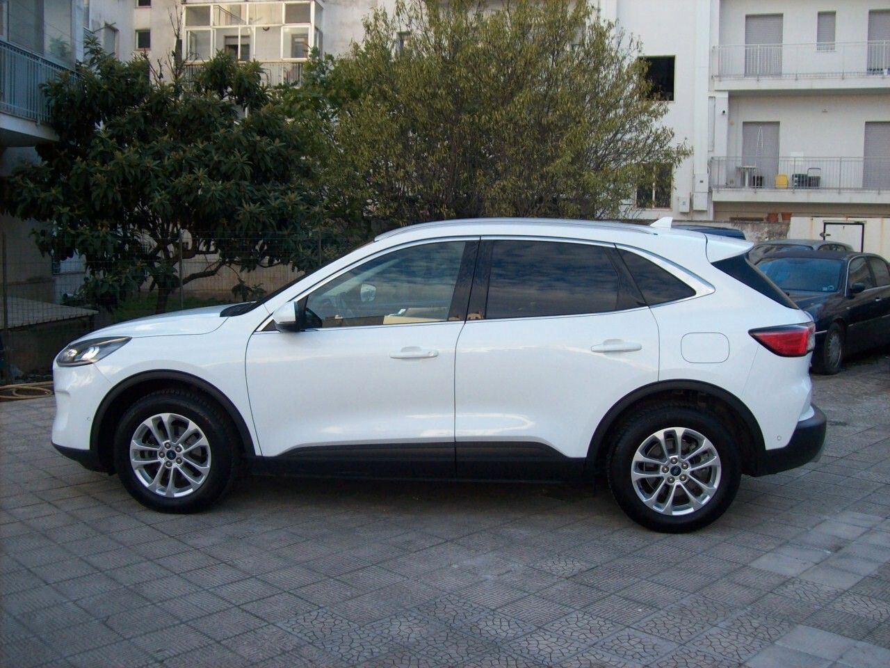 Ford Kuga 1.5 EcoBlue 120CV 2WD Titanium X imagem 2