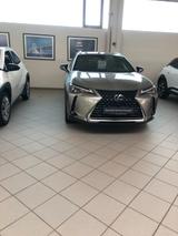 Lexus UX 250h F Sport Design F Sport Design - Lexus: Sport