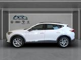 Cupra Formentor 2.0 TDI AHK*RFK*Navi*ACC*SHZ - Cupra Formentor bis 20.000 Euro