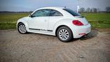 Volkswagen Beetle Käfer - Volkswagen Käfer
