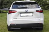 Lexus NX 350h Sport - Lexus aus 2018