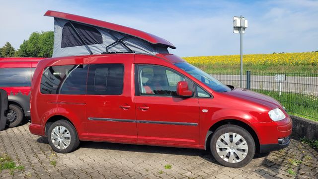 Volkswagen Caddy Maxi Life, Reimo Schlafdach, Minicamper