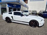 Ford Mustang3.7Ltr*SHELBY.LPG*Prem.pak.20zoll,Kamera - Ford: Weiß, Ka
