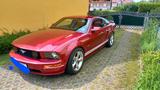 Ford Mustang - Ford Mustang in Rostock