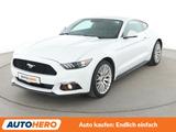 Ford Mustang 2.3 EcoBoost Basis*NAVI*TEMPO*CAM*PDC* - Ford mit Benzin-Antrieb: Coupe