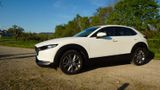 Mazda CX-30 SKYACTIV-X 2.0 M Hybrid LEDER 360°KAMERA - Mazda CX-30 in Stuttgart