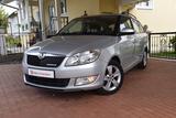 Skoda Fabia Combi Greenline **SHZ/TEMPOMAT** - Skoda Fabia: Greenline