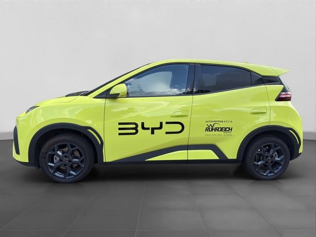 BYD DOLPHIN SURF