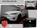 Tesla Model X 100D  Dual Pano LED 1-Hand  22 Zoll - Tesla Model X aus 2018