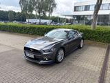 Ford Mustang 5.0 Ti-VCT V8 GT GT - Ford Mustang Gebrauchtwagen in Wuppertal