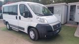Fiat Ducato 33 2.0 MJT PC-TN 9 POSTI - Fiat Ducato: 2.0