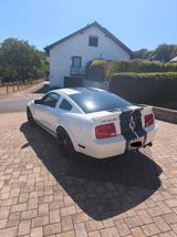 Ford Mustang Shelby GT500 - Ford Mustang aus 2007: Coupe