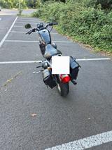 Harley-Davidson Sportster 883 - Offers matching your search criteria