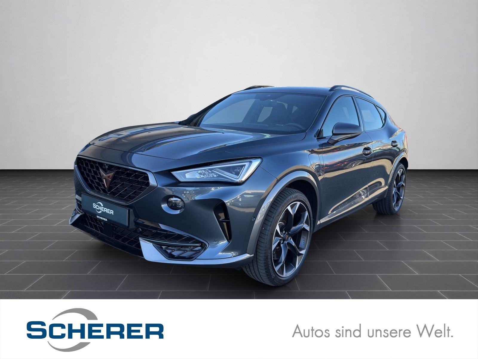 Cupra Formentor VZ 1.4 e-Hybrid DSG Full Link Fahrassi